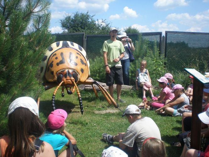 Dzieci z Piotrkowa poznay wiat owadw