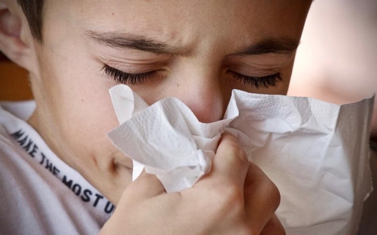 Prawie 13 tysicy przypadkw grypy w Piotrkowie i powiecie