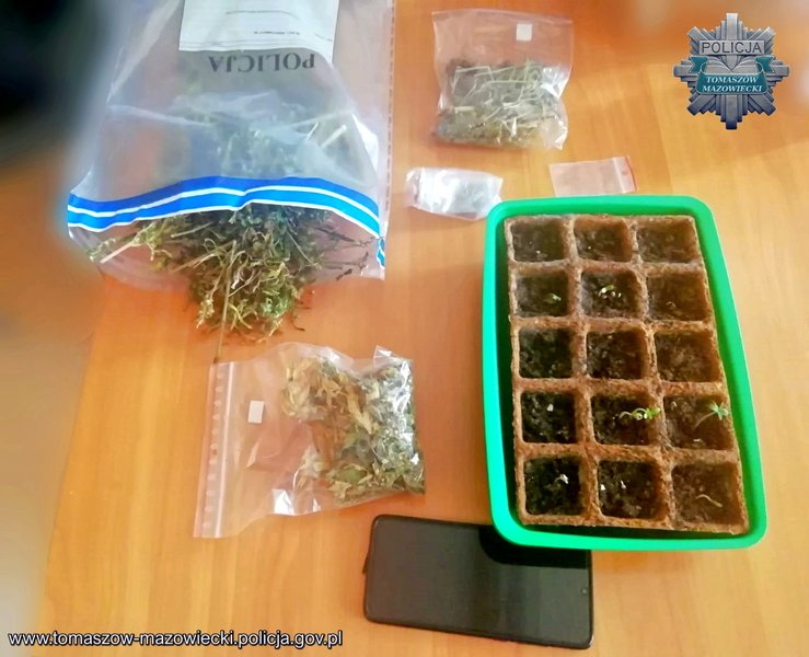 22-latek zatrzymany za posiadanie ponad 120 gramw marihuany