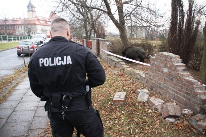 fot. policja