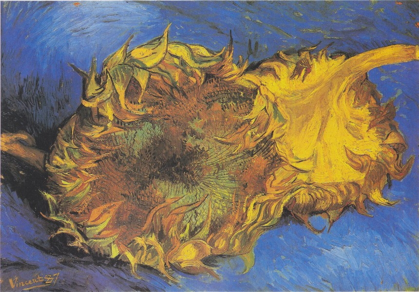 Piotrkowianka pracowaa nad wyjtkowym filmem o Van Goghu
